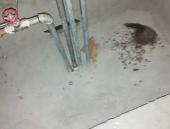 昌吉卫生间测漏水价格明细