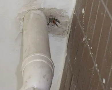 昌吉漏水检测哪家好